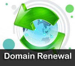 domain-renewal