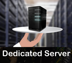 Dedicated Server Hosting In Usa 